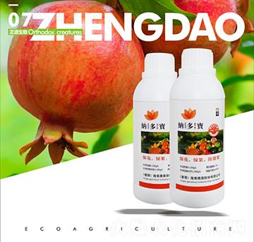 �{����-��������