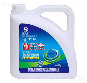 ΢�������-������-�l(f��)ؔ��