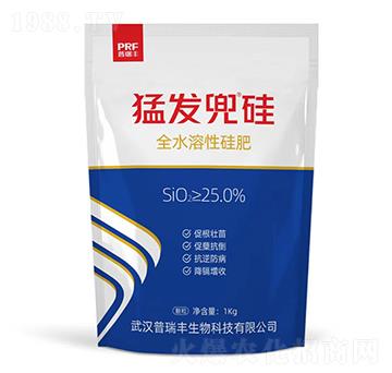 ȫˮ���Թ��-�Ͱl(f��)����-�����S