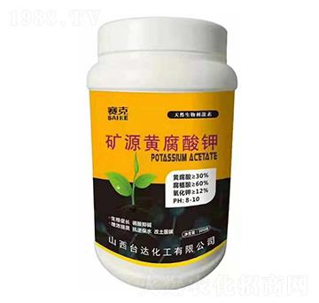 �VԴ�S�����-ِ��-�_�_�ʘI(y��)