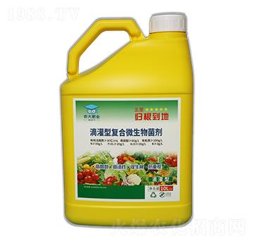 �ι��͏ͺ�΢�������-�w������-�r(n��ng)�����B(t��i)