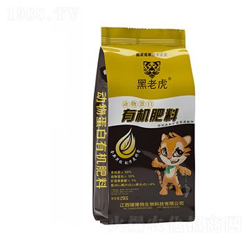 ���ﵰ���ЙC(j��)����-���ϻ�-�|���r(n��ng)�ʘI(y��)