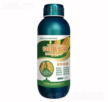 �F�U�����-�����S-���Π�