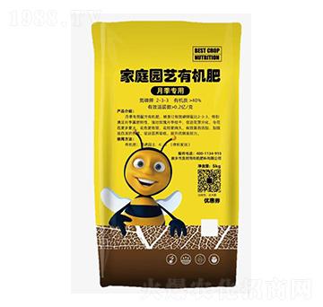 �¼����ü�ͥ�@ˇ�ЙC��-���r��