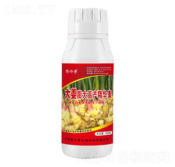 �����߮a(ch��n)���A��-������-��������