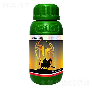 20%������-�MС��-������