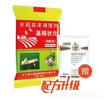調(diào)酸型水稻苗床調(diào)理劑-基插狀元-愛美瑞