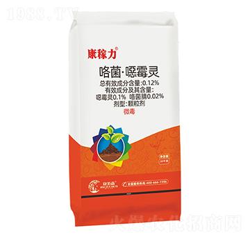 ���������ڲ���-������-����ɭ