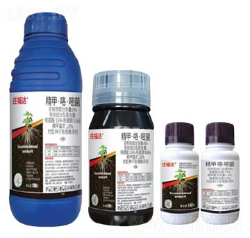 6%���ס������׾��N��̎��Ҹ�����FS��-�f���_-�л�����ƌW(xu��)