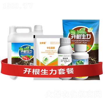 �_�������ײ͢�-�_������-�ƴ�Ƽ�