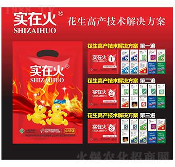 花生高產(chǎn)技術(shù)解決方案-實(shí)在火-紅太陽(yáng)