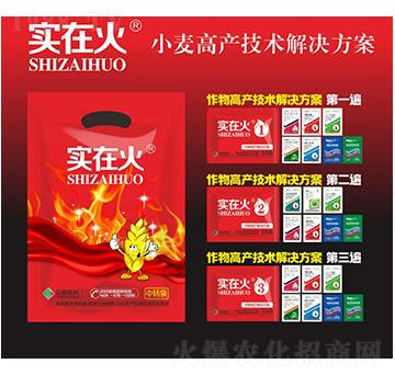 小麥高產(chǎn)技術(shù)解決方案-實(shí)在火-紅太陽(yáng)