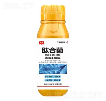 �ͺ�΢�������-�ĺϾ�-���S�r�I(y��)