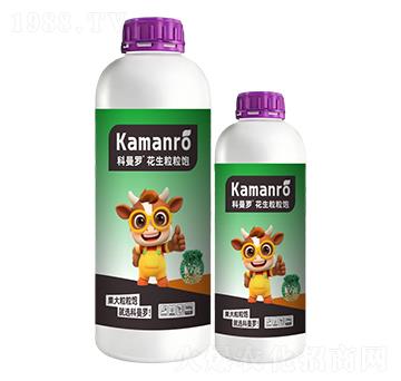 ���������-�����_