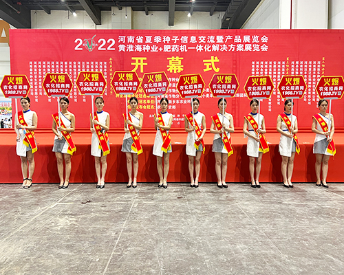 �����]�����Ĵ������������L�ɱM�@��