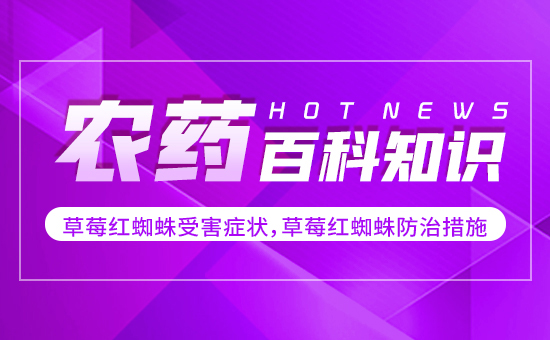 ��ݮ�t֩���ܺ��Y������ݮ�t֩����δ�ʩ