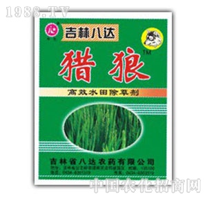 ���_-�C��