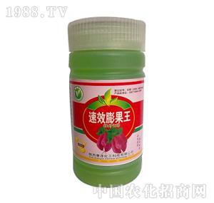 ����-��������t�팣�ã�