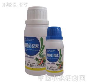 ����-����������