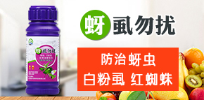 ɽ�|��(qi��ng)�r(n��ng)����Ƽ����޹�˾