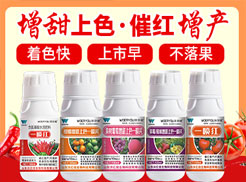 ɽ�|�փ|������Ƽ����޹�˾